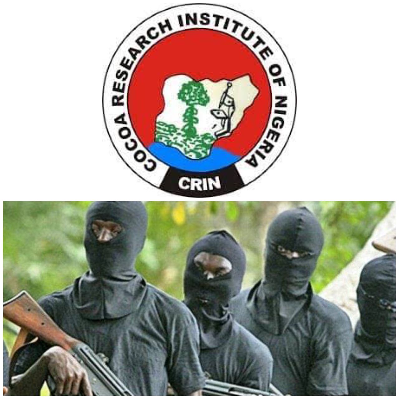 Gunmen abduct two Cocoa Research Institute of Nigeria staff in Ibadan